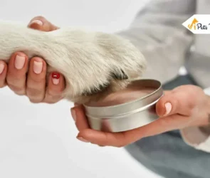 Dog Paw Balms