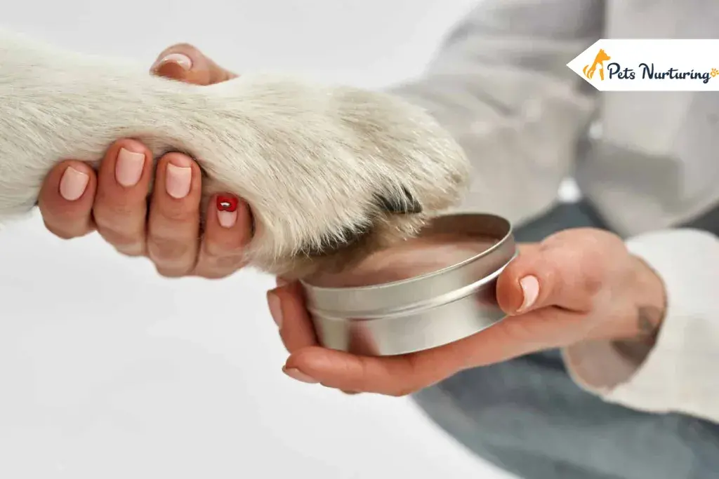 Dog Paw Balms
