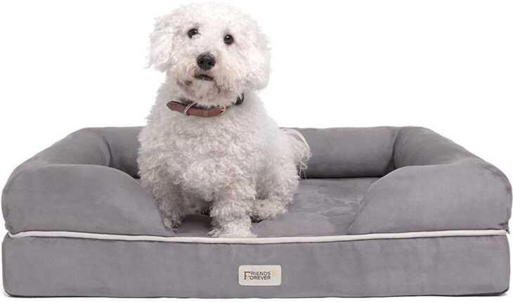 Best Indestructible Dog Bed: Give Comfort to Your Dogs