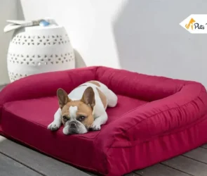 best indestructible dog beds