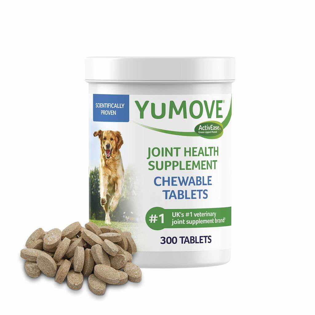 Explore the Best Joint Supplement for Dogs for Healthy Life