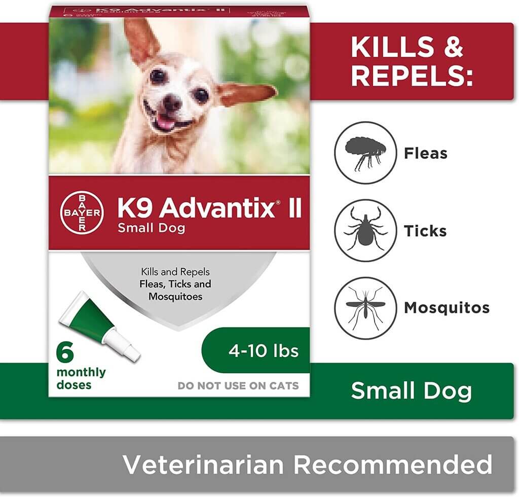 Best Flea and Tick Medicines for Dogs