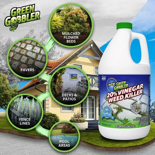 Green Gobbler Vinegar Weed & Grass Killer