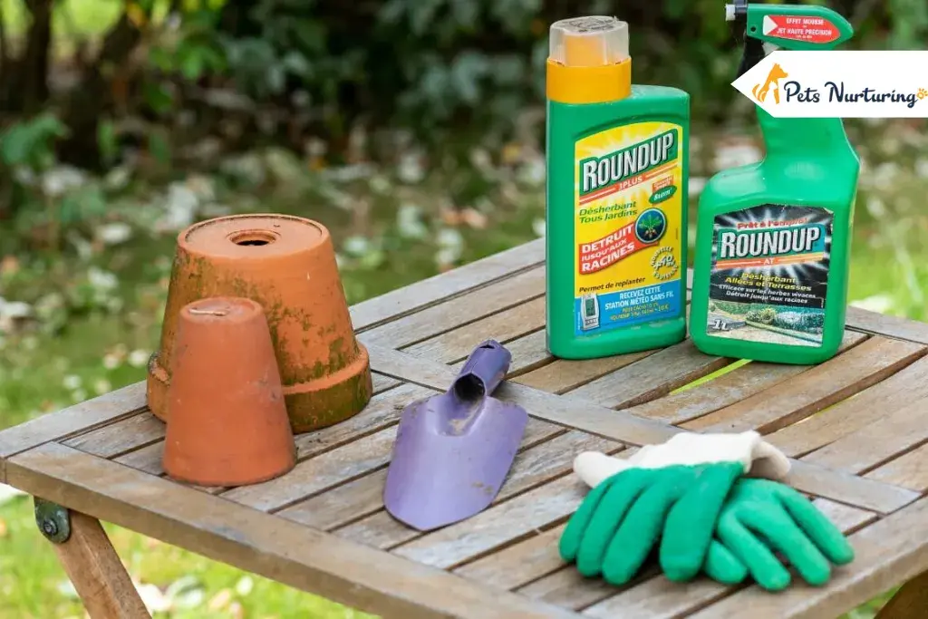Pet Safe Weed Killers