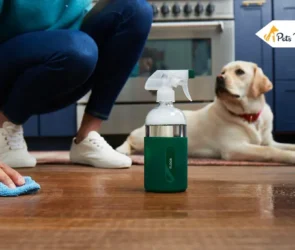 Cleaning Hack with a Bluenose Pitbull Puppy