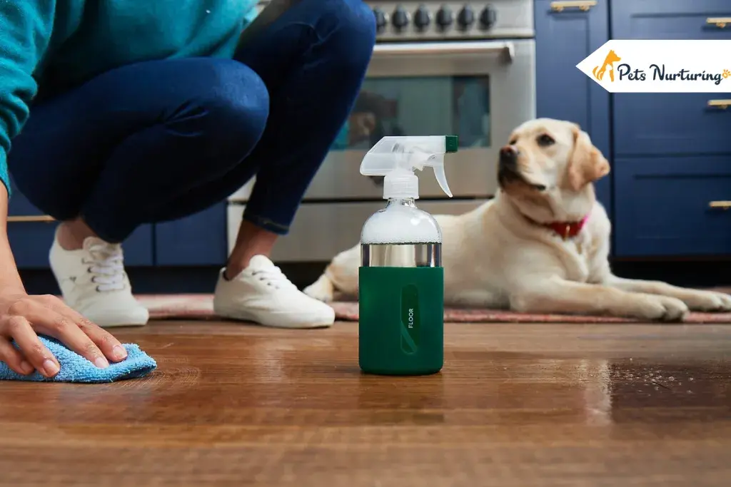 Cleaning Hack with a Bluenose Pitbull Puppy