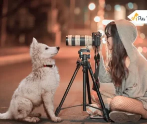 Shoot a Four-Legged Family Members