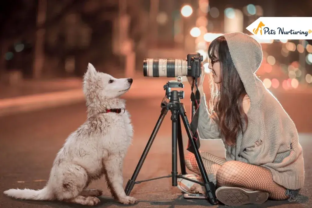 Shoot a Four-Legged Family Members
