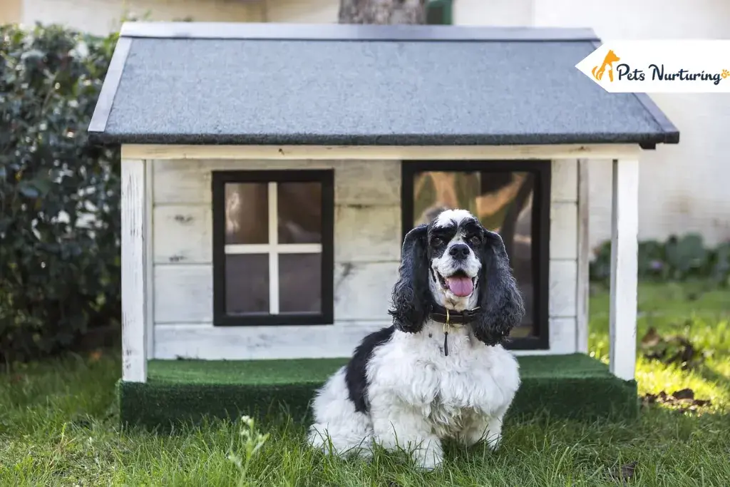 The Dog Houses