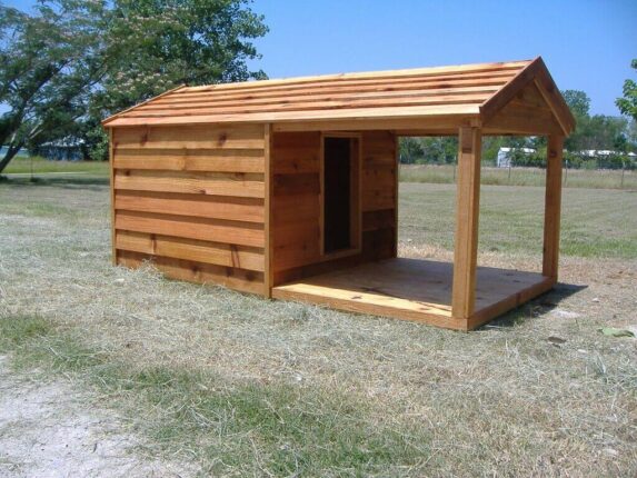 The Dog House: Different Types for Your Dog Friend! – Pets Nurturing