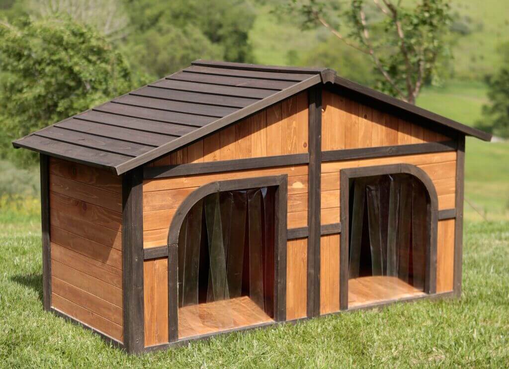 the dog house