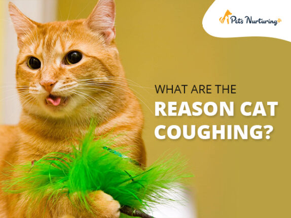 cat coughing