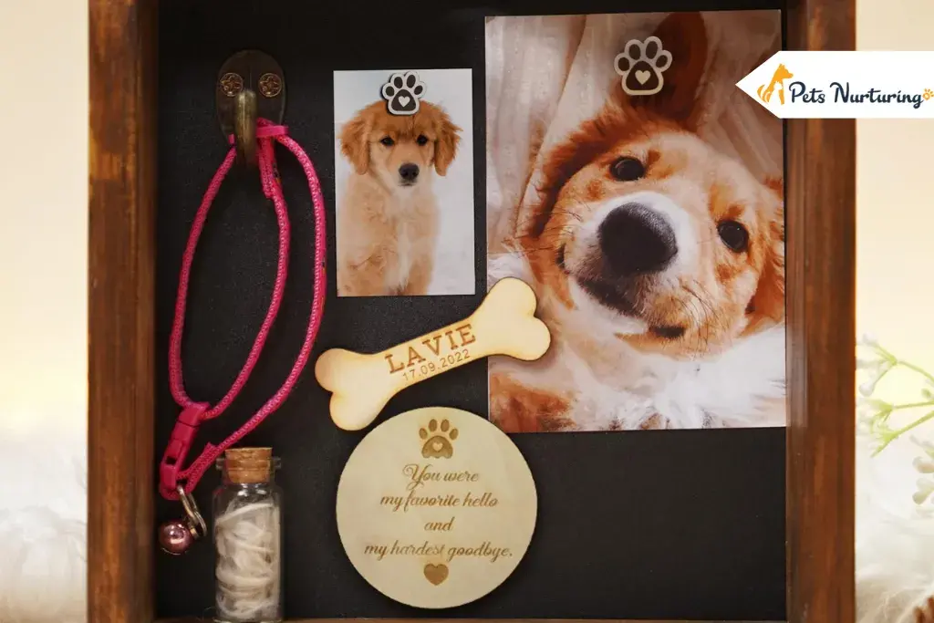 Gifts for Someone Who Lost a Pets