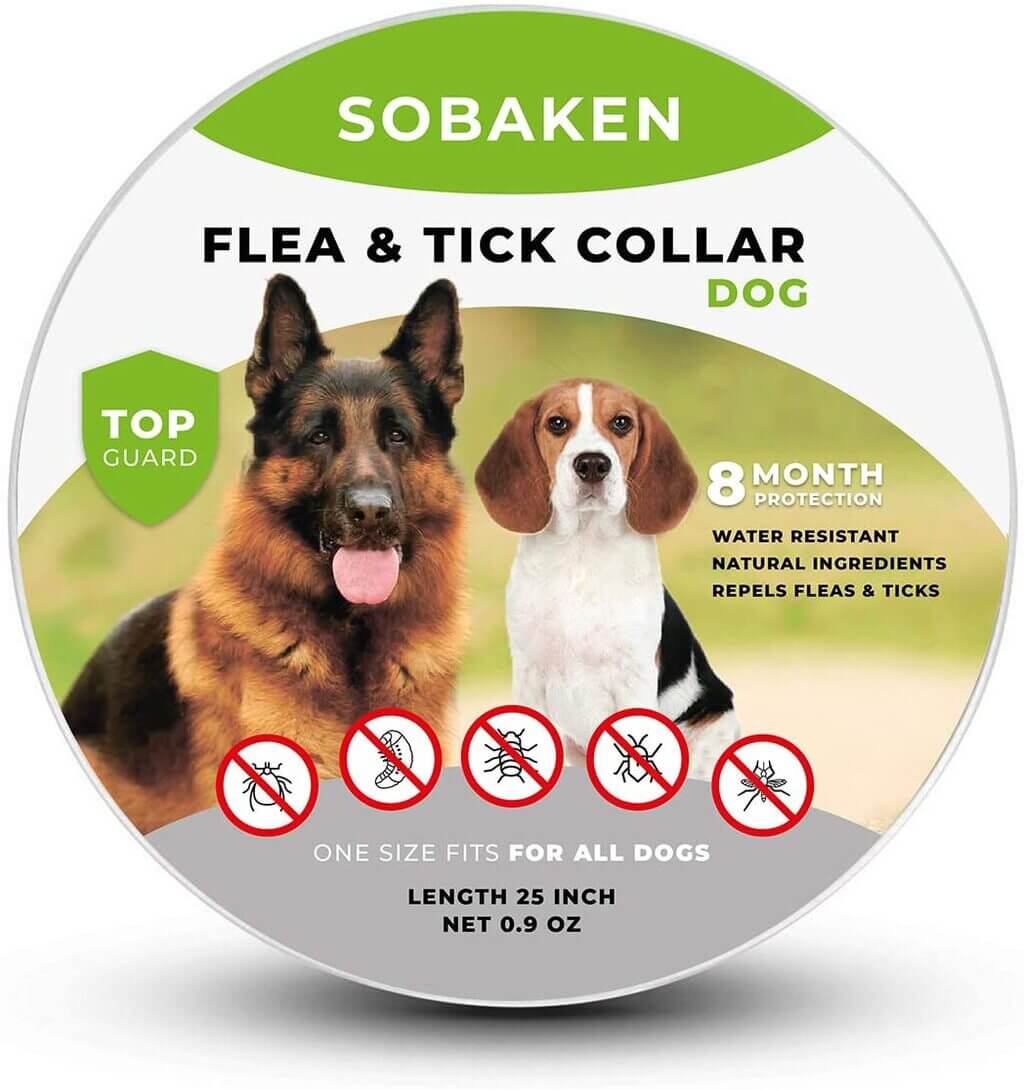 best flea collar for dogs