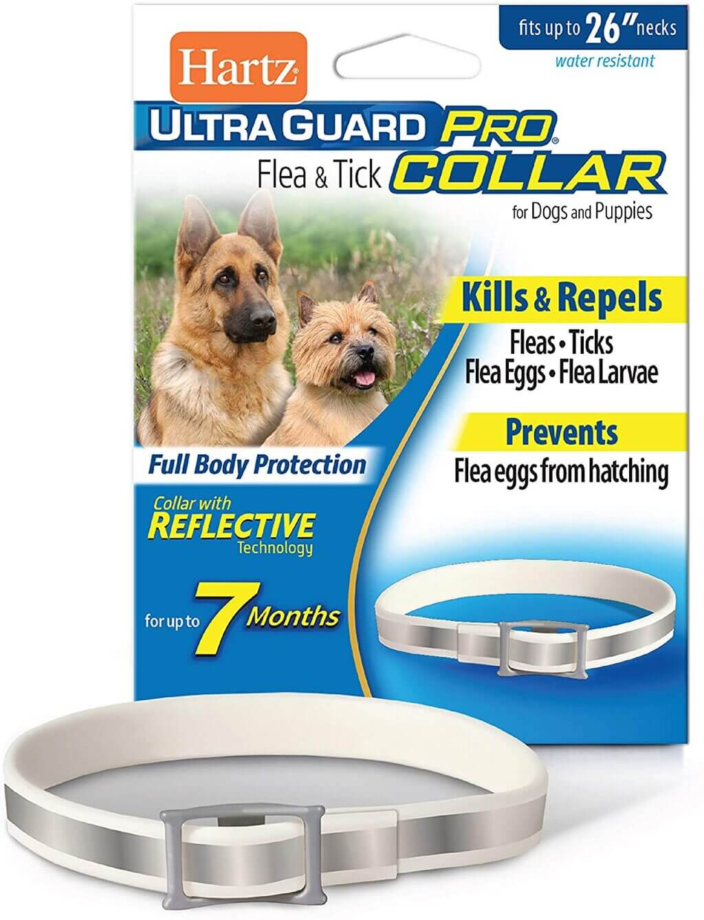 Get the Best Flea Collar for Dogs with Buying Guide