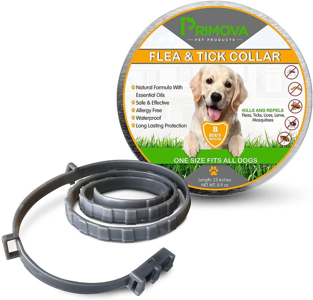 best flea collar for dogs