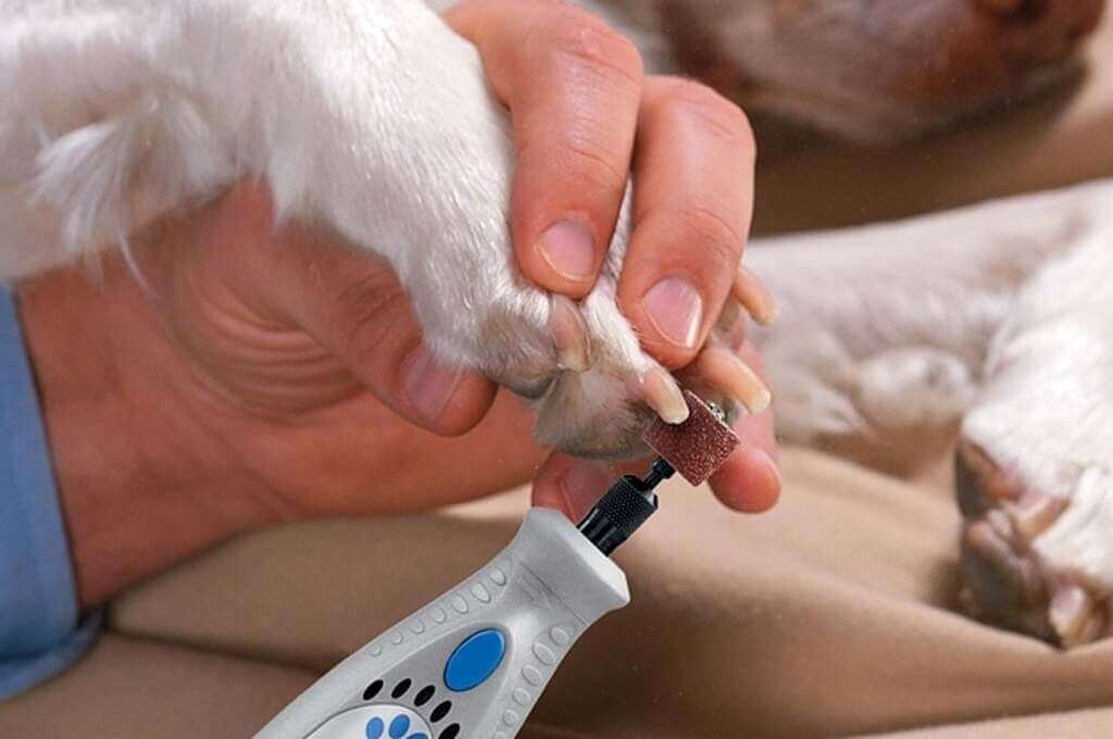 best nail grinder for dogs