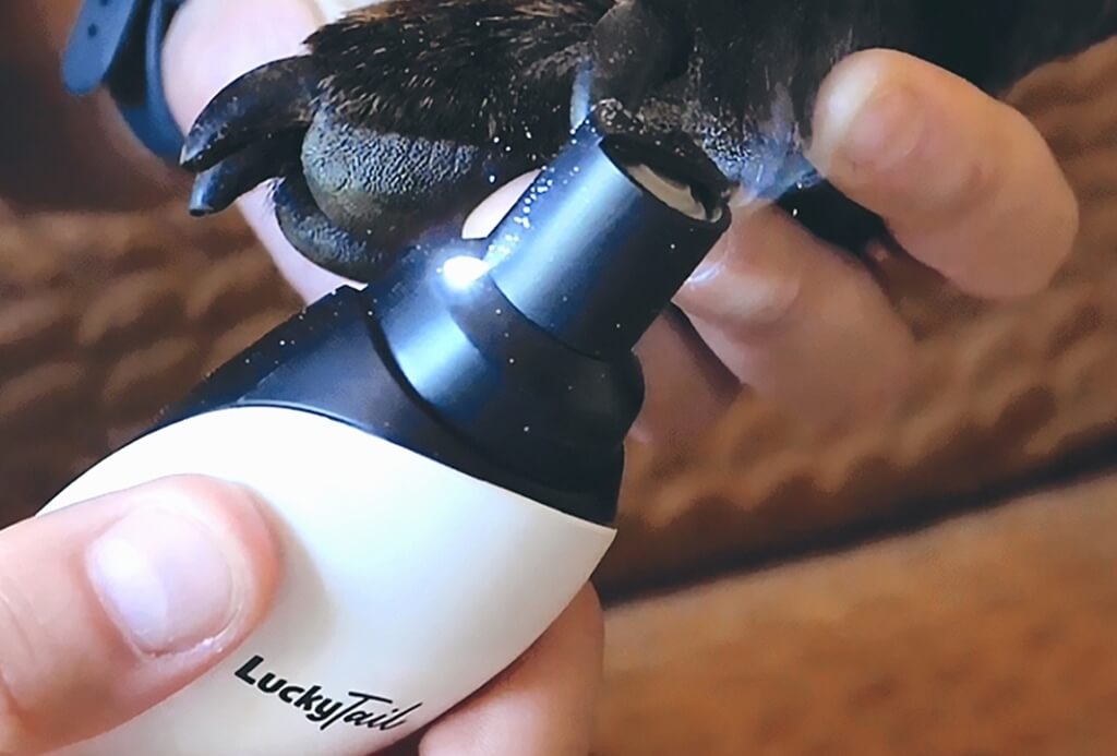 best nail grinder for dogs