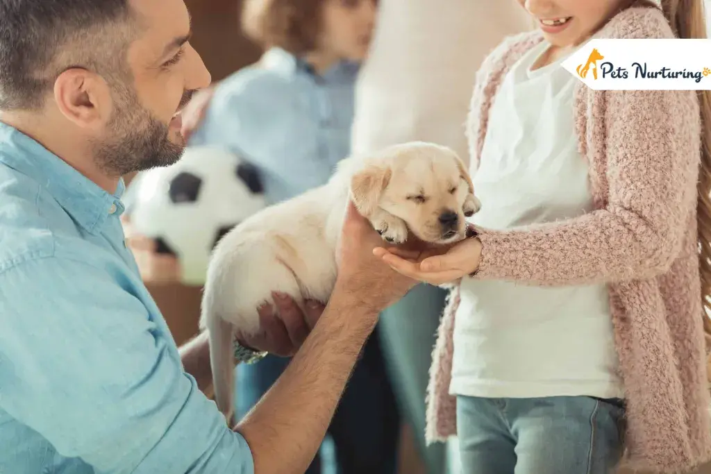 Taking Cares of a New Puppy