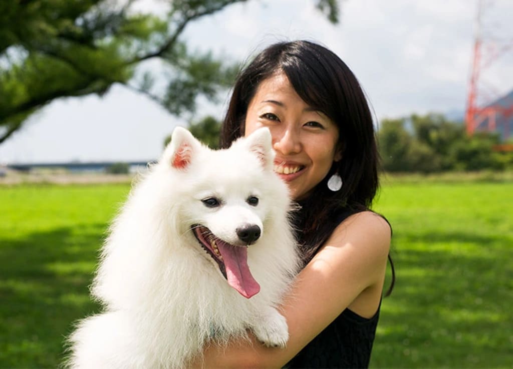Japanese Spitz dog breeds