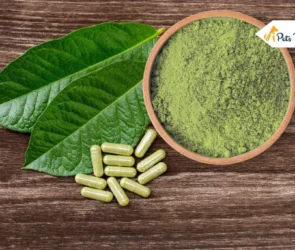 Effect of Kratom for Dog