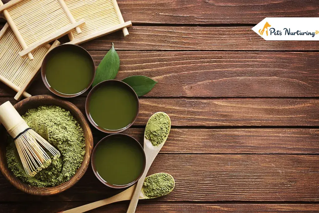 Kratom for Dog