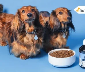 omega 3 fatty acids for dog