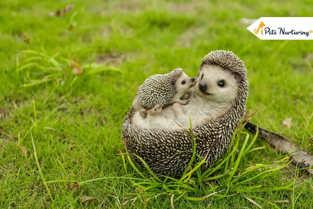 Baby Hedgehogs