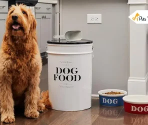 Dog Food Storage Containers