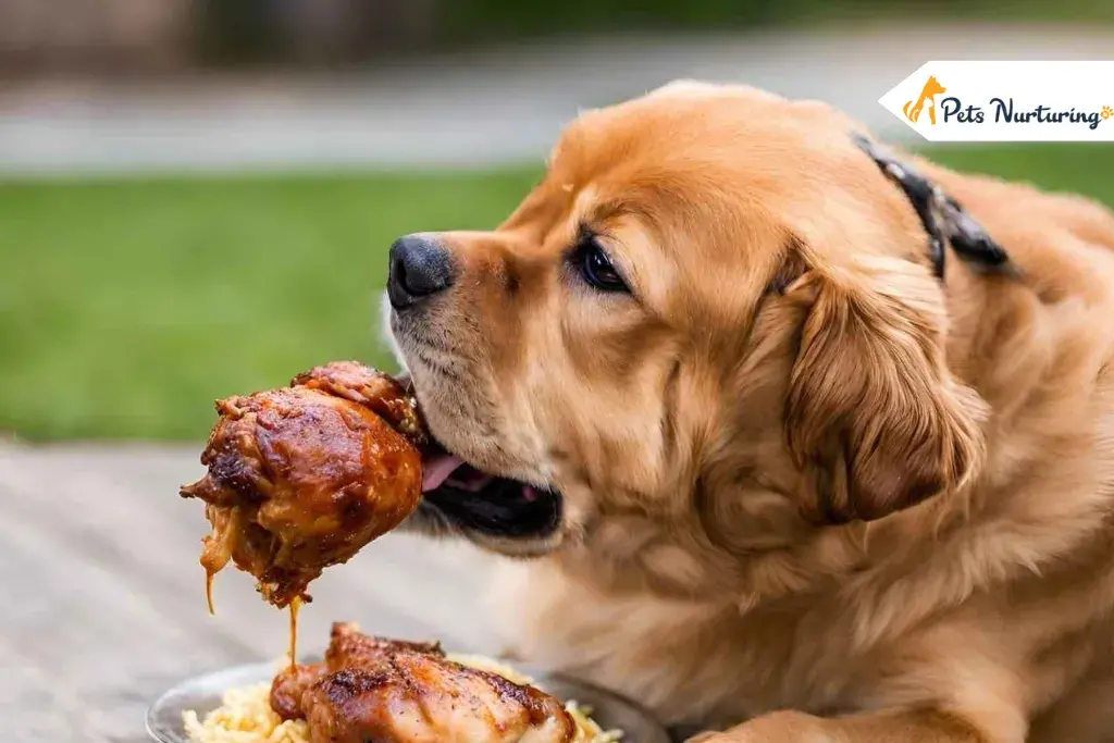 Can Dogs Eat Chicken Nugget
