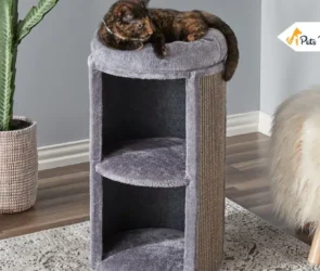 Cat Tree for Large Cat