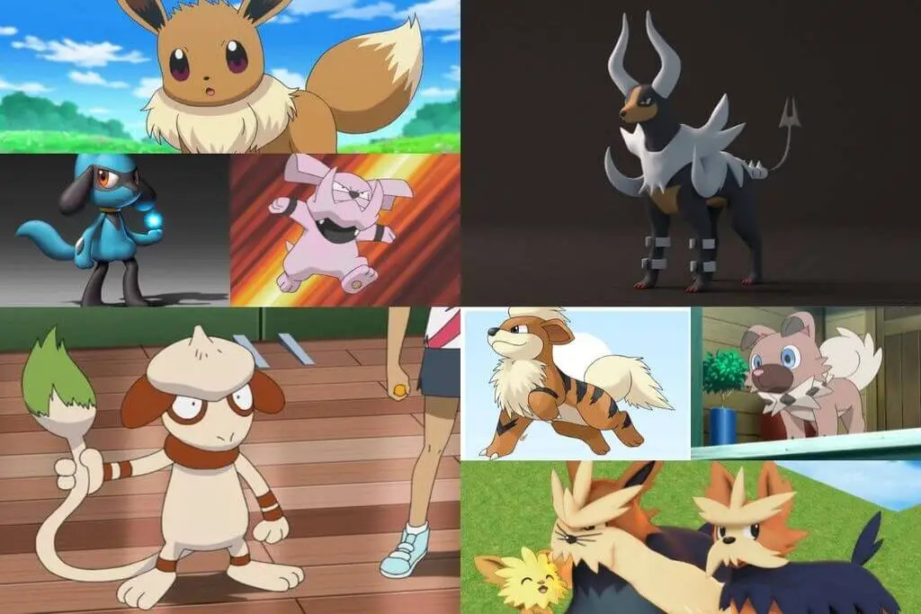 A Trip to Childhood memories with dog pockemon