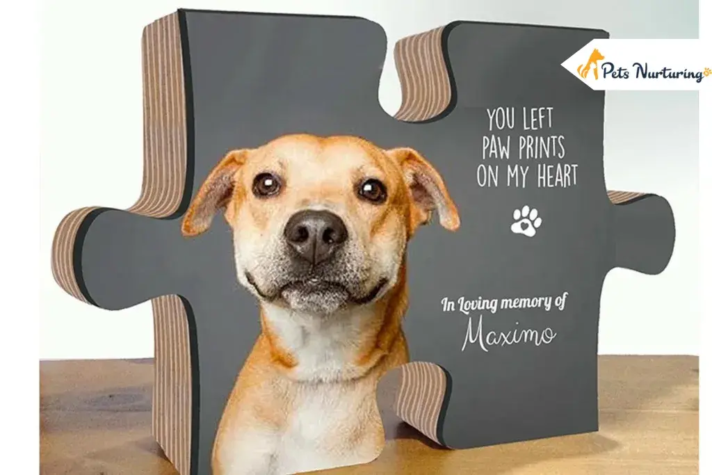 Ways To Honor Your Deceased Pets