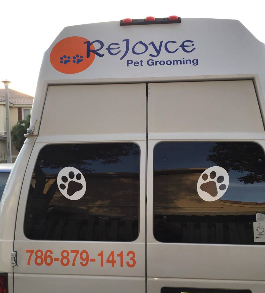 Dog Grooming Near Me 7 Best Places for a Great Grooming Session