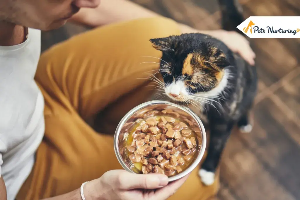 How Long Can a Cat Go Without Eatings