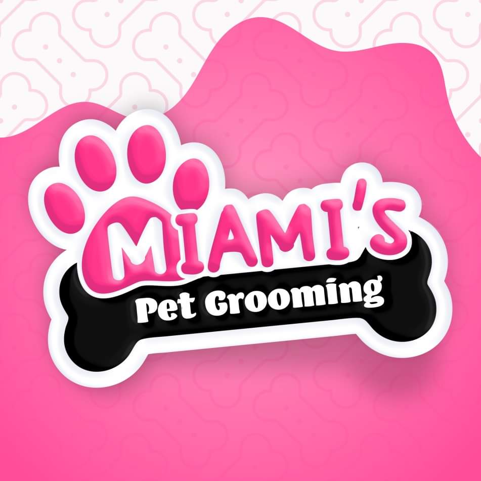 Dog Grooming Near Me 7 Best Places for a Great Grooming Session Pets