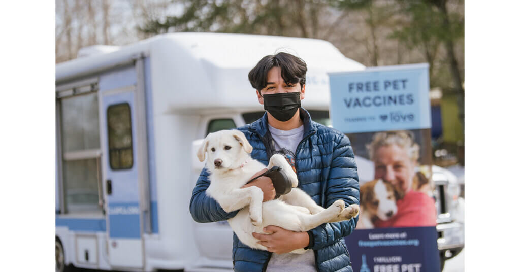 Vaccination for Travel pets vaccination