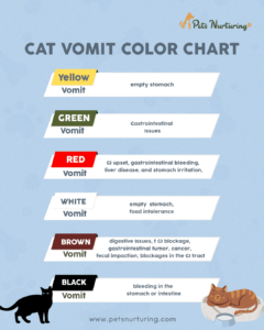 Cat Vomit Color Chart: What Does Each Color Mean