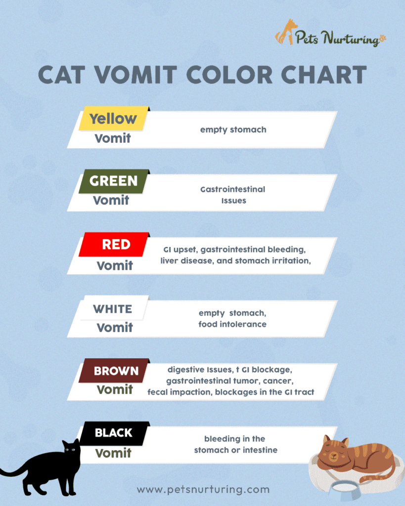 cat-vomit-color-chart-what-does-each-color-mean