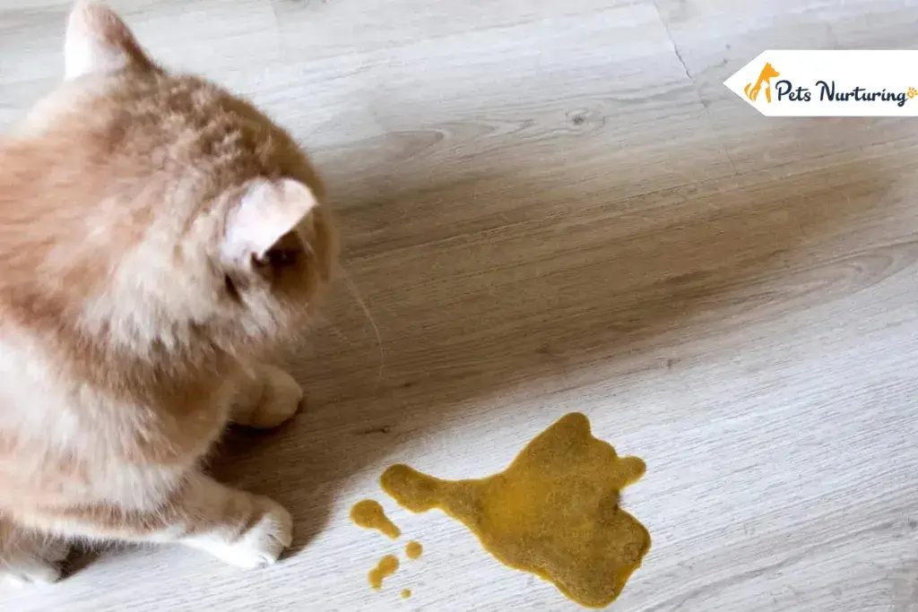 Cat Vomit Color Charts