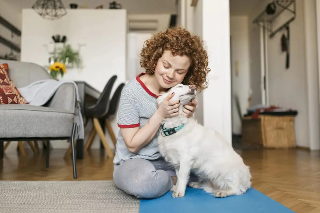 Emotional Support Dog