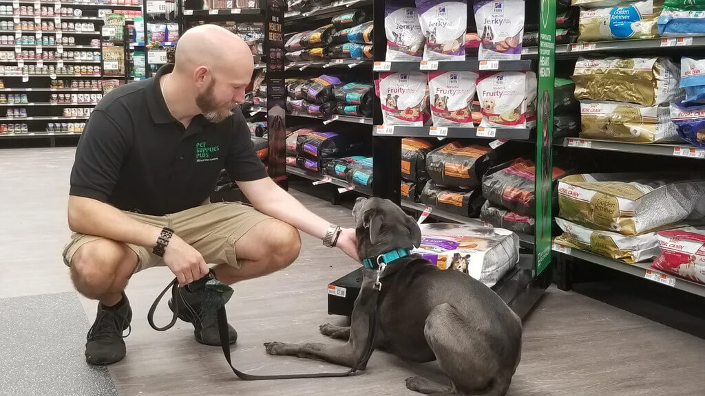 qualities in your local pet store