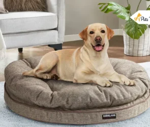 Orthopedic Bed for Dog