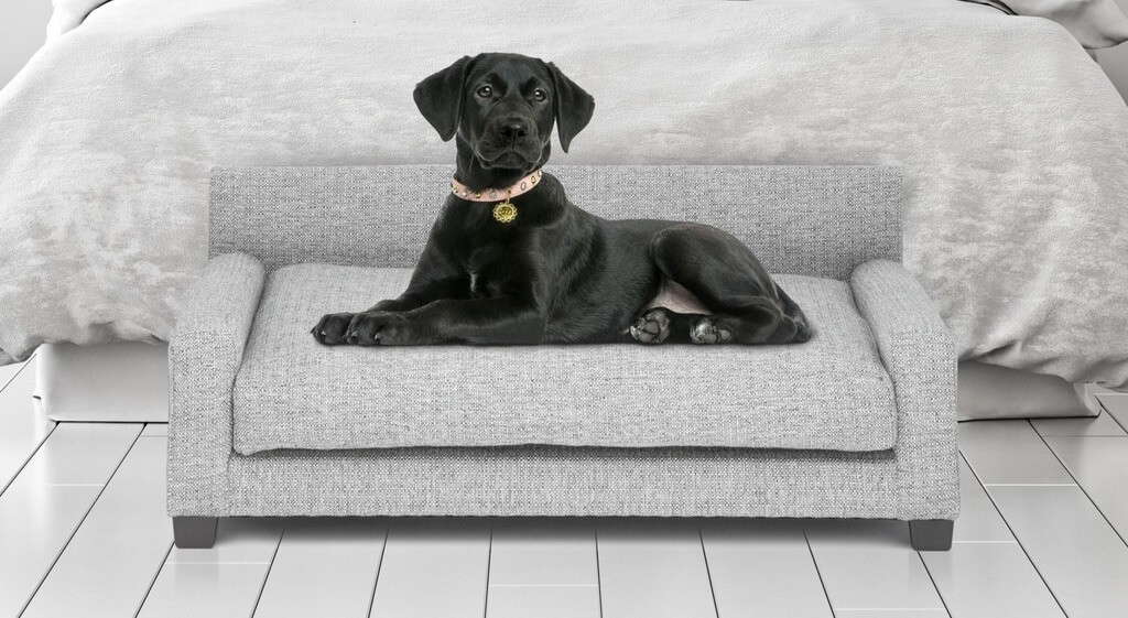 Why You Should Buy Orthopedic Beds