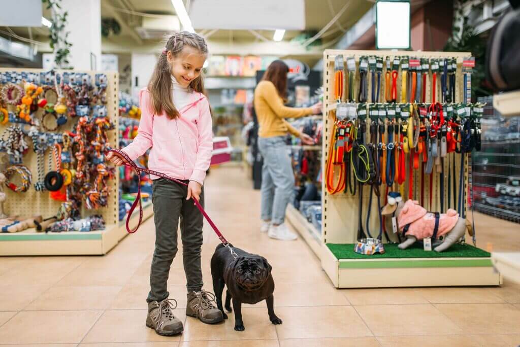 qualities in your local pet store