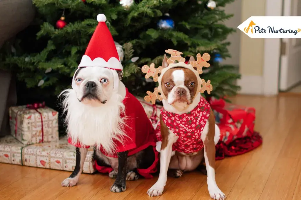 Dog Christmas Outfit