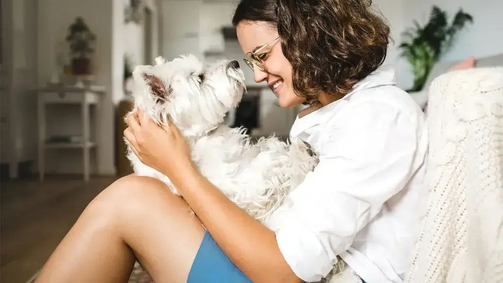 Owning a pet: Pets Can Help Combat Loneliness
