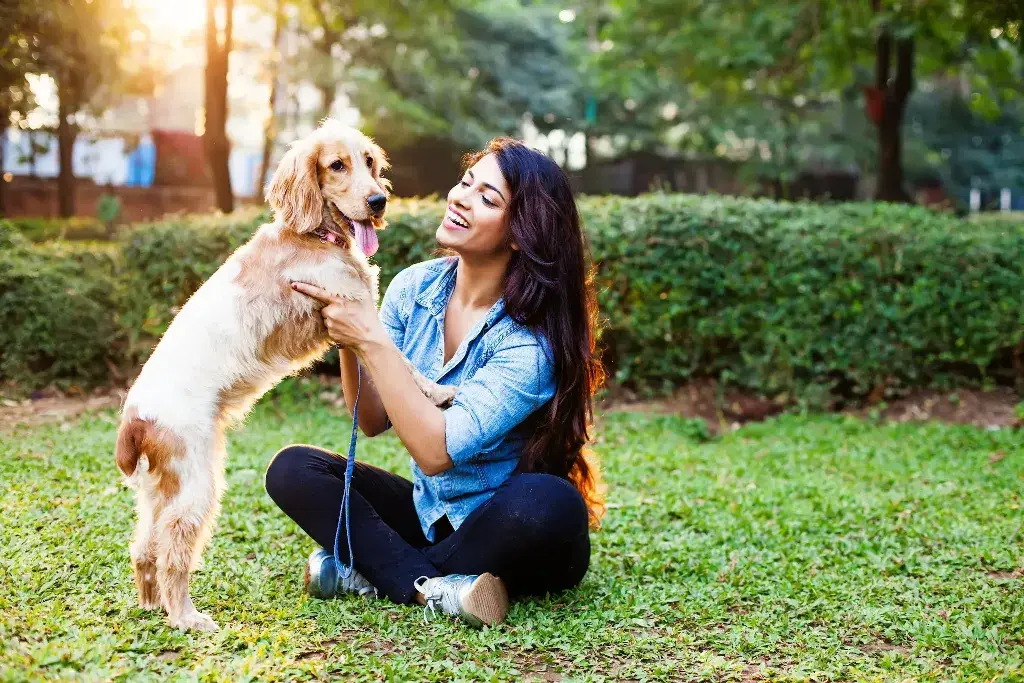 Owning a pet: Pets Can Help Lower Blood Pressure