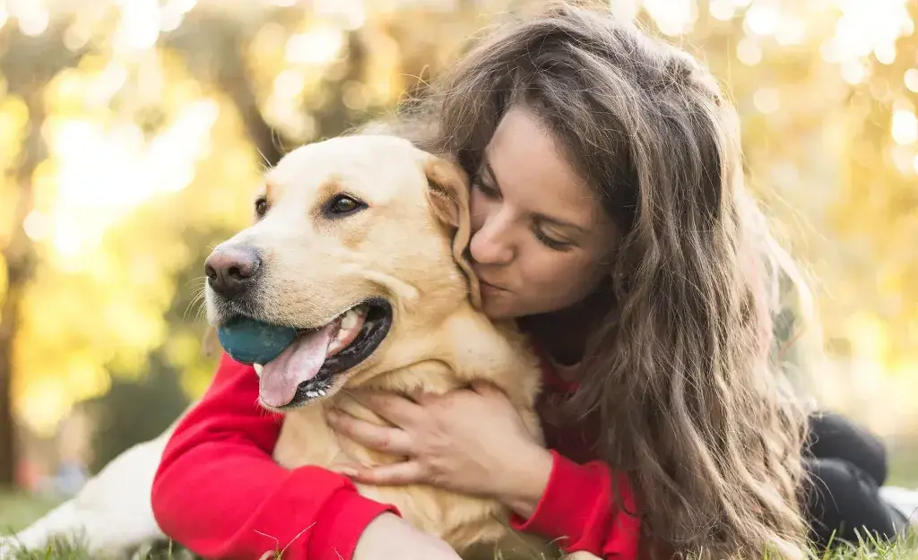 Owning a pet: Pets Can Help to Boost Mood