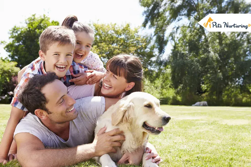 Owning a pets